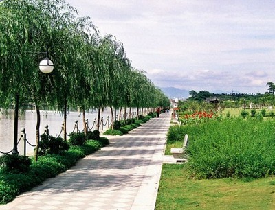 義烏市實驗小學園林綠化工程