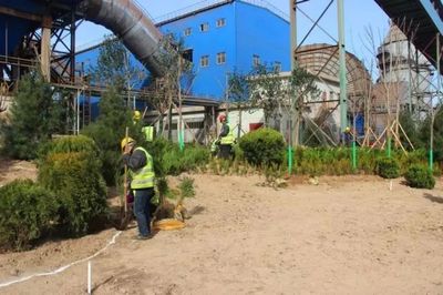 鋼城視角丨【鐵腕治霾】鋼鐵美麗花創建--綠色龍鋼雛形初綻 || 高標準做好屋頂綠化美化工作 打造俯視景觀&ldquo;綠色韓城&rdquo;_財經_網