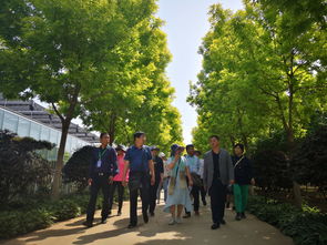 心靈震撼的北京鄉土苗木園林古建工程